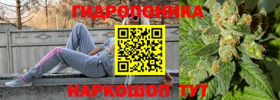 прущие крисы Будённовск