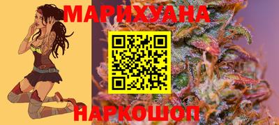 прущие крисы Будённовск