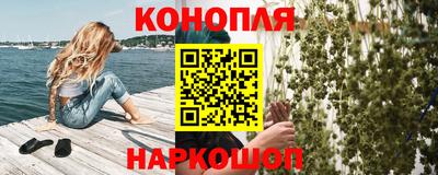 прущие крисы Будённовск