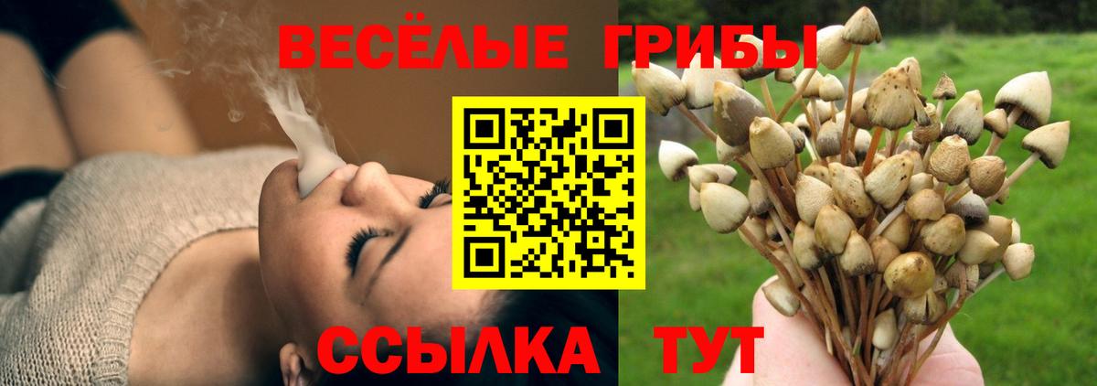 Туапсе  Псилоцибиновые грибы мухоморы  Псилоцибиновые грибы MAGIC MUSHROOMS  Вход с VPN 