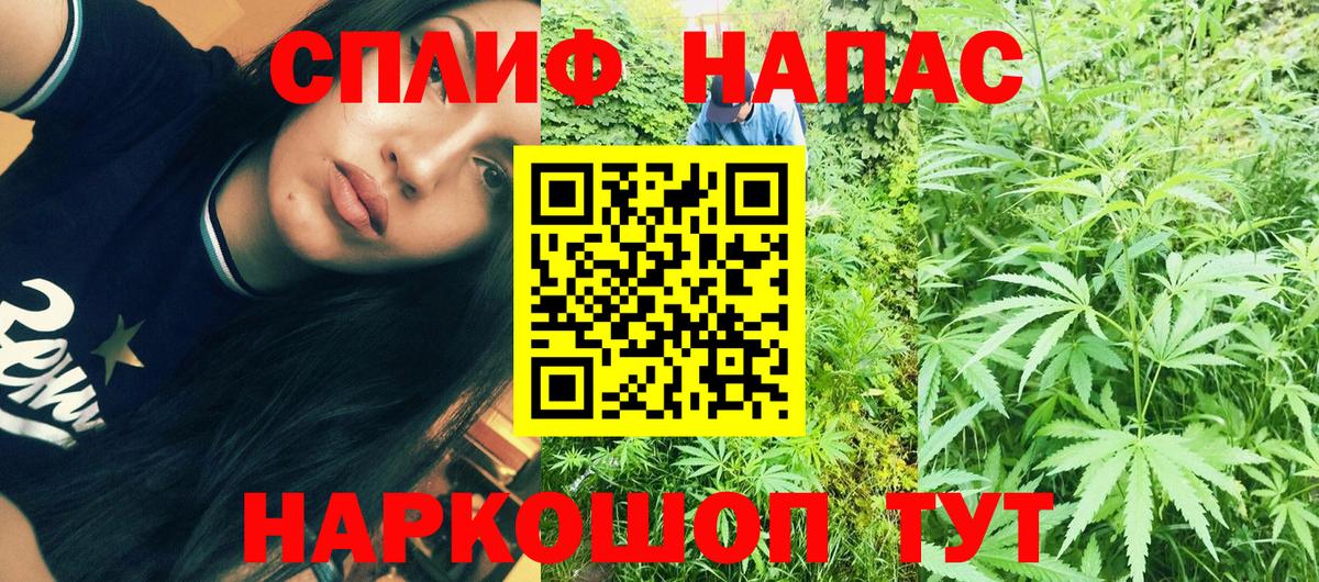 Каннабис план  Канабис марихуана  Вход с VPN  Бошки марихуана Amnesia  Канабис семена  Туапсе 